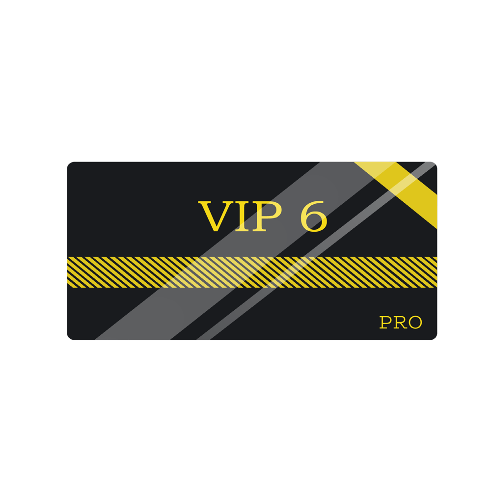 VIP6 30 DIAS